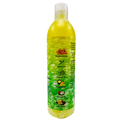 Turmeric & Neem Body Wash