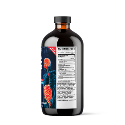 Gut - Brain AXIS Formula 3-1 Biotic - NaturalHerbalLabs
